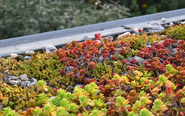 the cost of Eagland Hill green roof installation