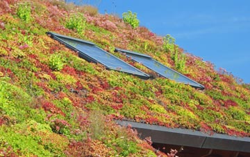 Eagland Hill living roof systems