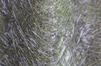 Eagland Hill fibreglass roof work